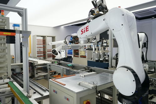 賽意信息董事長張成康 以研發(fā)與并購雙輪驅(qū)動，深耕企業(yè)端數(shù)字化業(yè)務(wù)