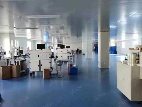 源頭與創(chuàng)新 上海消字號(hào)代加工廠與軟件開(kāi)發(fā)的雙軌發(fā)展